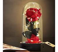 Beauty and the Beast Rose, Gifts for Women,Enchanted Red Silk Rose with 7 Colors Light, Valentine Gift, Wedding, Anniversary, Birthday Gift, Christmas Day
