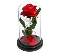 Beauty and the Beast Rose, Gifts for Women,Enchanted Red Silk Rose with 7 Colors Light, Valentine Gift, Wedding, Anniversary, Birthday Gift, Christmas Day
