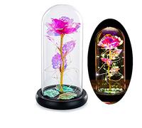 Beauty and the Beast Rose in Glass Dome Forever Rose Flower Kit Enchanted Light Best Gifts for Her Women Girls Adults Mums on Valentine, Mothers Day Wedding Anniversary Birthday