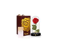 Beauty and The Beast Rose Kit, Enchanted Red Silk Rose Forever Flower LED Light in Glass Dome Wooden Base Romantic Gifts for Birthday Wedding Annivers