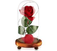 Beauty and The Beast Rose,Remote Control Device，Red Silk Rose and LED Light with Fallen Petals in Glass Dome on a Wooden Base, Decoration Home