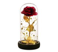 Beauty and The Beast Rose Set Galaxy Rose Artificial Flower Gold Rose Valentine's Day Thanksgiving Mother's Day Christmas Girl Birthday Gift (24k red Rose)