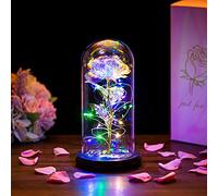 Beauty Beast Rose Gifts Women, Eternal Fake Roses Wedding Anniversary Valentines Gift for Her Nan Birthday Everlasting Artificial Forever Galaxy Flower Lights in Glass Dome for Christmas Nana Mam