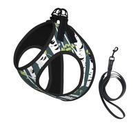Beauty Birch Tree Print Small Dog Harness with Leash Set, No Escape Easy Walk Puppy Harnesses for Training Walking