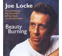 Beauty Burning by Joe Locke (2000-06-13)