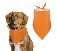 Beauty Burnt Orange Dog Bandanas for Feeding Grooming, Triangle Pet Bibs Washable Pets Scarf for Cats & Dogs