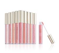 Beauty Concepts Lip Gloss Collection 10 Piece Pink Lip Gloss
