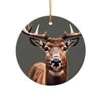 Beauty Deer Print Round Flat Hanging Ornaments for Christmas Winter New Year Party Hanging Decorations