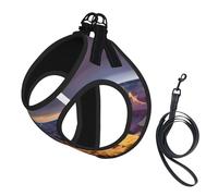 Beauty Grand Canyon 1 Print Dog Harness with Leash Set with Thickened Padded Vest for Extra-Small/Small Medium Dogs