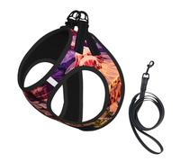 Beauty Grand Canyon Print Dog Harness with Leash Set with Thickened Padded Vest for Extra-Small/Small Medium Dogs