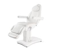 Beauty Massage Table Electric Adjustable Reclining Salon Spa Bed Couch