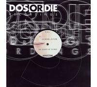 Beauty Of Silence [12" VINYL]