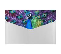 Beauty Peacock Accordion File Organizer 6 Pocket Document Organizer Expanding File Folder Accordion Folder with Labels, Travel Document Folders Plastic Envelopes with Snap Closure 13x9.1 Inch
