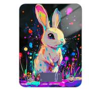Beauty Rabbit Art Painting Portable Food Scale Cute 11lb/0.18oz, 5kg/5g Grams Scale with 4 Unit for Soap Making Roasting Dieting (Batteries not Included)