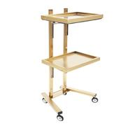 Beauty Salon Rolling Cart, 2-Tier Metal Rolling Cart, Foldable Tray Trolley Stainless Steel,Storage Equipment Organizer for Salon Tattoo Stainless Steel
