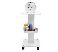 Beauty Salon Trolley Cart, Spa Equipment Rolling Storage Organizer, Maintenance Rack Tray for Ultrasonic Cavitation RF Machine, Load 40 kg, Beauty Instrument Carts