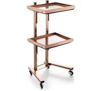 Beauty Salon Trolley on Wheels,3-Tier Metal Rolling Cart,Stainless Steel Salon Stand with Wheels Trolley Tray Kitchen (B)