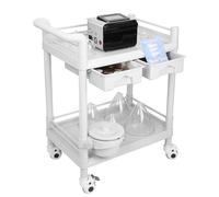 Beauty Trolley Cart with Wheels, Esthetician Cart with Handrail, Bucket and 2 Big Drawer, 2 Tier Heavy Duty Vacuum Therapy Machine Trolley, Load 330lbs, 360° Rotate Silent Wheels