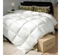 Beautyrest White Goose Down Fiber Comforter Queen Size,100% Cotton Extra Warmth Ultra-Soft Luxury Duvet Insert for Cold Weather, Hotel Collection Hypoallergenic Bedding,90''x90''