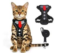 BEAUTYZOO Cat Harness and Leash,Escape Proof Easy-On Vest w/Neck Buckle, M | No Over-the-Head,Soft Air Mesh,Adjustable Fits for Small to Large Cats, Reflective Kitten Harness for Outdoor Walks,Black Tie