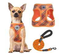 BEAUTYZOO Dog Harness and Lead Set - Reflective Dog Harness - No Pull - No Choking - for Very Small Dogs and Cats - Padded Vest Made of Soft Mesh