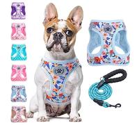 BEAUTYZOO Dog Harness and Lead Set, Reflective Harness with Floral Pattern, No Pull, No Choking, for Small, Medium and Large Dogs, Mesh Harness