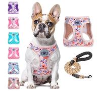 BEAUTYZOO Dog Harness and Leash Floral Reflective No Pull No Choke Puppy Harness for Small Medium Large Dogs Cats Soft Padded Mesh for Girls