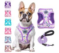 BEAUTYZOO Dog Harness and Leash Floral Reflective No Pull No Choke Puppy Harness for Small Medium Large Dogs Cats Soft Padded Mesh for Girls