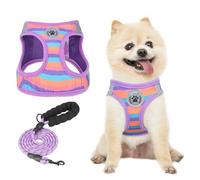 BEAUTYZOO Dog Harness and Leash Set for Small Dogs, No Pull Step-in Harness for Puppy XS S, Air Mesh Adjustable Breathable Soft No Chock Escape Proof Vest, Striped Purple XXS