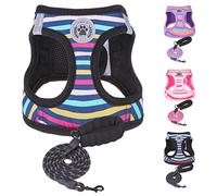 BEAUTYZOO Dog Harness and Leash Set for Small Dogs,No Pull Step-in Harness for Puppy XS S Sized Dogs and Cats,Air Mesh Adjustable Breathable Soft No Chock Escape Proof Vest Harnesses,Striped Teal XXS