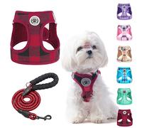 BEAUTYZOO Kleines Hundegeschirr und Leine, Step in No Chock No Pull Soft Mesh Hundegeschirr Reflektierend für extra kleine/kleine mittelgroße Welpen Hunde und Katzen, Rot, XXS, Red