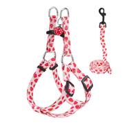 BEAUTYZOO No Pull Dog Harness and Leash Set - Adjustable Step-in Puppy Harness for Small Medium Large Dogs, Escape Proof Soft Nylon Vest with Double D Ring for Walking Running Training, Strawberry S