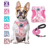 BEAUTYZOO Slip-In Dog Harness with Leash, Reflective, No Pull, No Choke, for Puppies, Small, Medium, Large Dogs, Cats, Soft Padded Mesh Fabric, Unisex, Floral Pattern