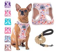 BEAUTYZOO Small Dog Harness and Leash Set, Step in Floral Pattern Dog Harness No Pull No Choke Puppy Harness Reflective for XXS XS S Dogs Cats, Soft Padded Mesh Vest Harnesses Girl and Boy Pets