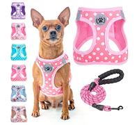 BEAUTYZOO Small Dog Harness and Leash Set, Step in Floral Pattern Dog Harness No Pull No Choke Puppy Harness Reflective for XXS XS S Dogs Cats, Soft Padded Mesh Vest Harnesses Girl and Boy Pets