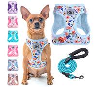 BEAUTYZOO Small Dog Harness and Leash Set, Step in Floral Pattern Dog Harness No Pull No Choke Puppy Harness Reflective for XXS XS S Dogs Cats, Soft Padded Mesh Vest Harnesses Girl and Boy Pets