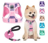 BEAUTYZOO Small Dog Harness and Leash Set,Step in No Chock No Pull Soft Mesh Dog Harnesses Reflective for Extra-Small/Small Medium Puppy Dogs and Cats, Plaid Dog Vest Harness for XS S Pets, Pink XXS