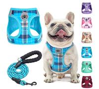 BEAUTYZOO Small Dog Harness and Leash Set - Step-in No Chock No Pull Soft Mesh Reflective Harness for XS/S Puppies & Cats, Blue Plaid Vest Harness