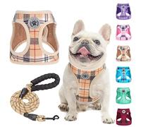 BEAUTYZOO Small Dog Harness and Leash Set,Step in No Choke No Pull Soft Mesh Dog Harnesses Reflective for Extra-Small/Small Medium Puppy Dogs and Cats, Plaid Dog Vest Harness for XS S Pets, Beige L