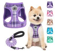 BEAUTYZOO Small Dog Harness and Leash Set,Step in No Choke No Pull Soft Mesh Dog Harnesses Reflective for Extra-Small Medium Puppy Dogs and Cats, Plaid Dog Vest Harness for XS S Pets, Purple S