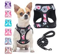 BEAUTYZOO Step in Dog and Cat Harness and Lead Set - Floral Pattern - Reflective - No Pull or Choke - for Dogs and Cats - Soft Padded Mesh Harness for Dogs and Cats