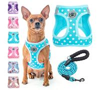 BEAUTYZOO Step in Dog Harness and Leash Set, Polka Dot Pattern Reflective Dog Harness No Pull No Choke Puppy Harness for XXS XS S Dogs Cats, Soft Padded Mesh Vest Harnesses for Girl and Boy Pets