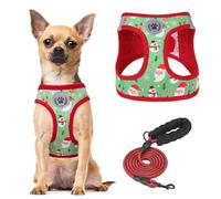 BEAUTYZOO Step in Dog Harness and Leash Set,Reflective Dog Harness No Pull No Choke Puppy Harness for Small Medium Large Dogs Cats,Soft Padded Mesh Vest Harnesses for Girl and Boy Pets,Christmas S
