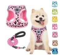 BEAUTYZOO Step in Dog Harness and Leash Set,Reflective Dog Harness No Pull No Choke Puppy Harness for Small Medium Dogs Cats,Soft Padded Mesh Vest Harnesses for Girl and Boy Pets,Leopard Pink M