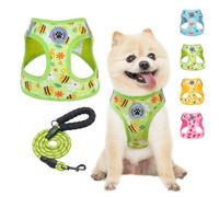 BEAUTYZOO Step in Dog Harness and Leash Set,Reflective Dog Harness No Pull No Choke Puppy Harness for Small Medium Large Dogs Cats,Soft Padded Mesh Vest Harnesses for Girl and Boy Pets, Bee S