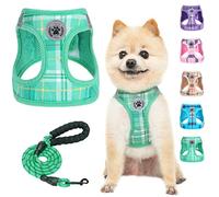 BEAUTYZOO Step in No Chock No Pull Soft Mesh Dog Harness and Leash Set, Reflective for Extra-Small/Small Medium Puppy Dogs and Cats, Plaid Dog Vest Harness for XS S Pets, Teal XS