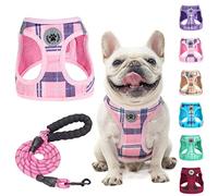 BEAUTYZOO Step in No Chock No Pull Soft Mesh Dog Harness and Leash Set, Reflective for Extra-Small/Small Medium Puppy Dogs and Cats, Plaid Dog Vest Harness for XS S Pets, Pink
