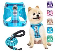BEAUTYZOO Step in No Chock No Pull Soft Mesh Dog Harness & Leash Set, Reflective for Extra-Small/Small Puppy Dogs & Cats, Plaid Dog Vest Harness for XS/S Pets, Blue