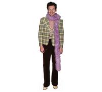 Beaver Print Harry Singer Songwriter Cardboard Cutout Lifesize | Perfect for Birthdays, Gifts, Parties & Fans | Photo Opportunites 183cm x 51cm (Pink Feathers)