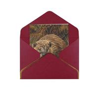 Beaver Working Print Greeting Card Paper, Half Fold To Cards For Birthday, Wedding, Party.